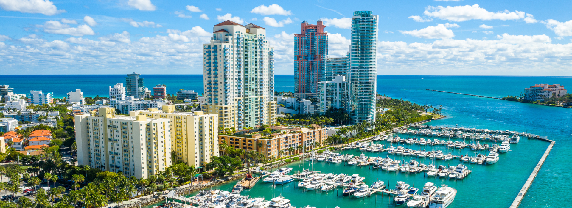 Miami city skyline and waterfront in the daytime