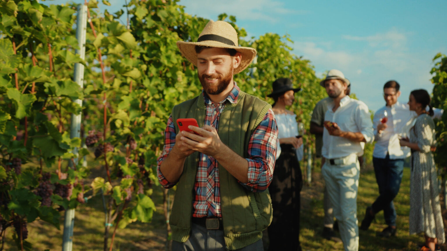 Handsome happy farmer in hat using application on smartphone in behind young luxury people tasting grapes and wine on vineyard.