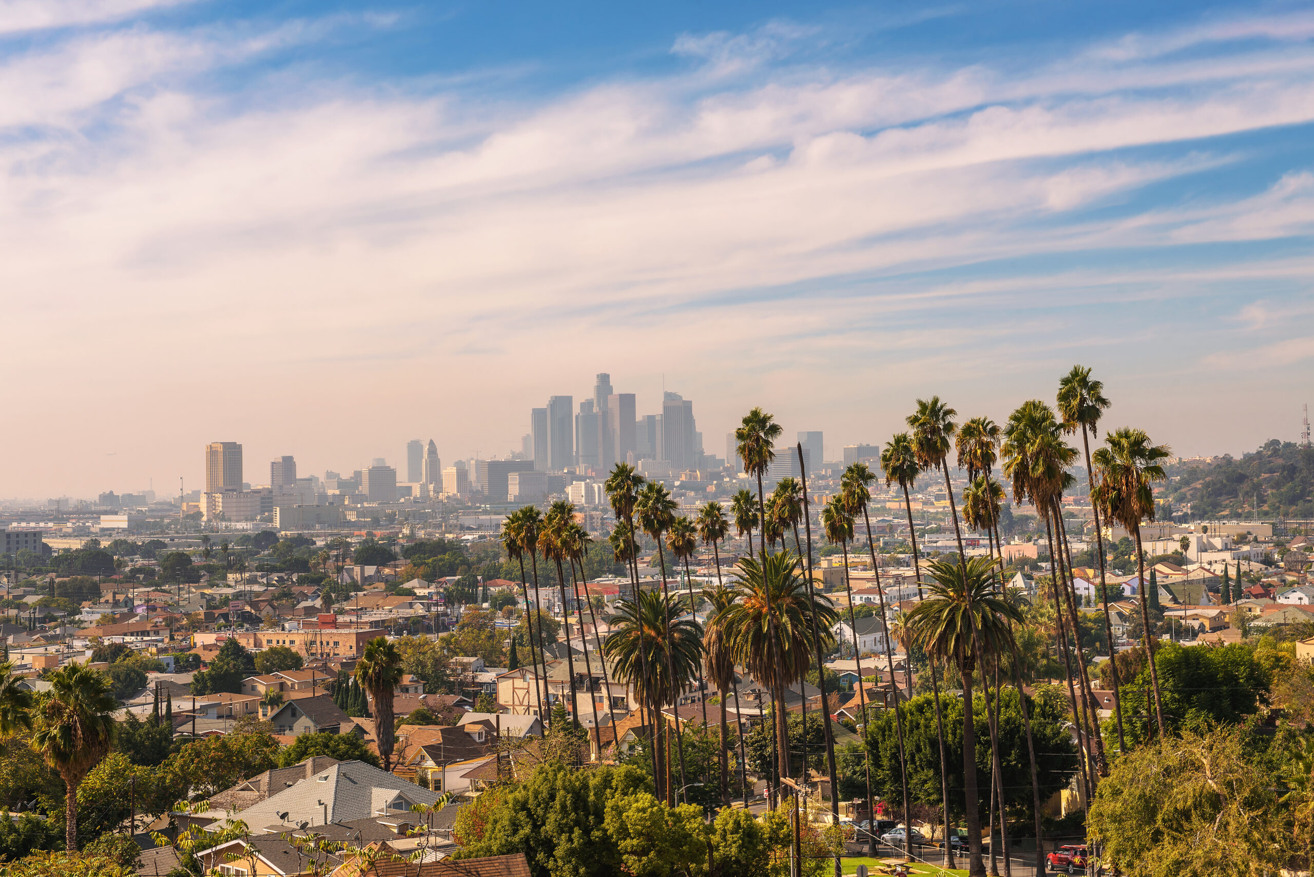 Los Angeles small business owner reviewing compliance documents in a bright office