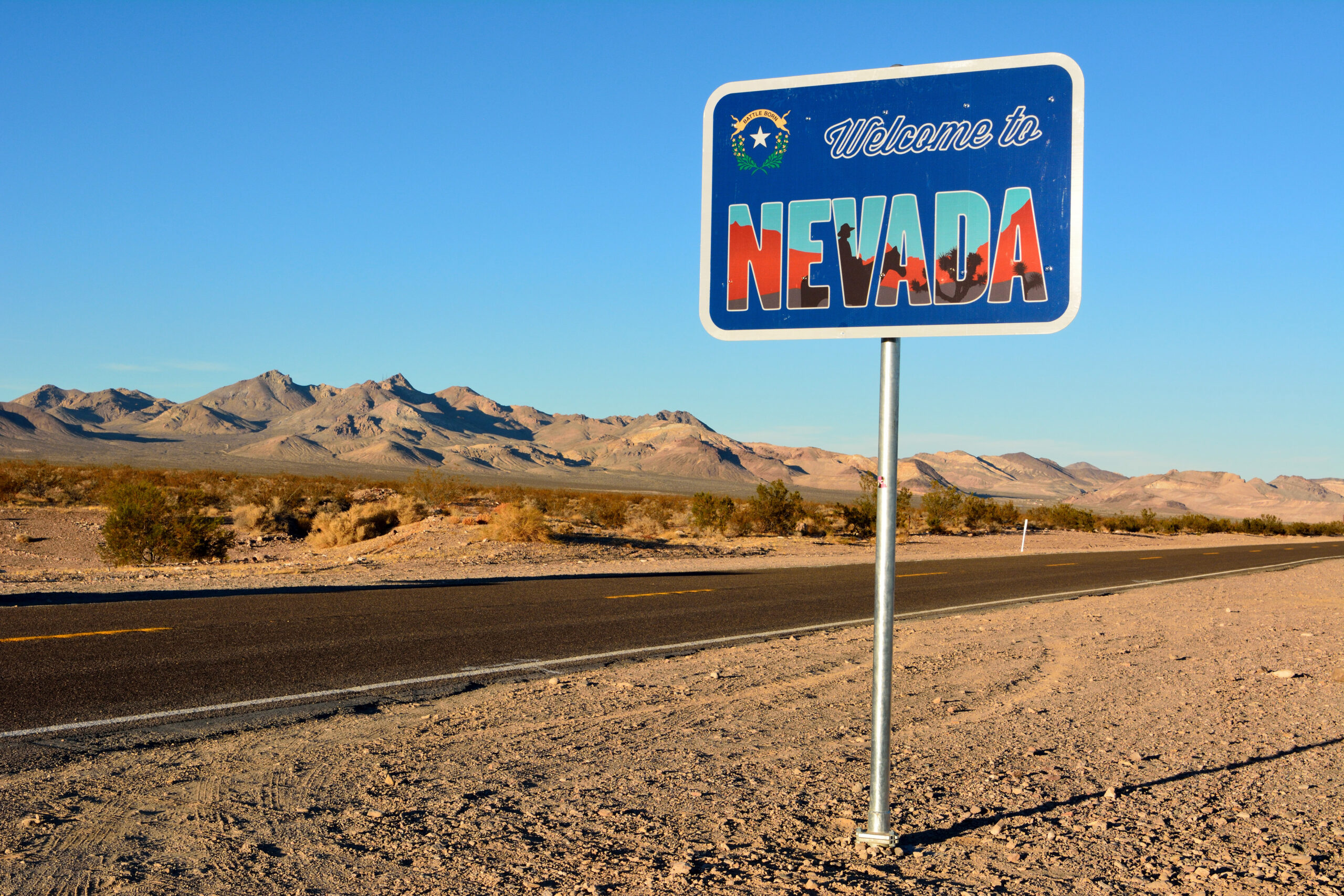 Small business owner reviewing Nevada Annual List and Business License filing details on a laptop