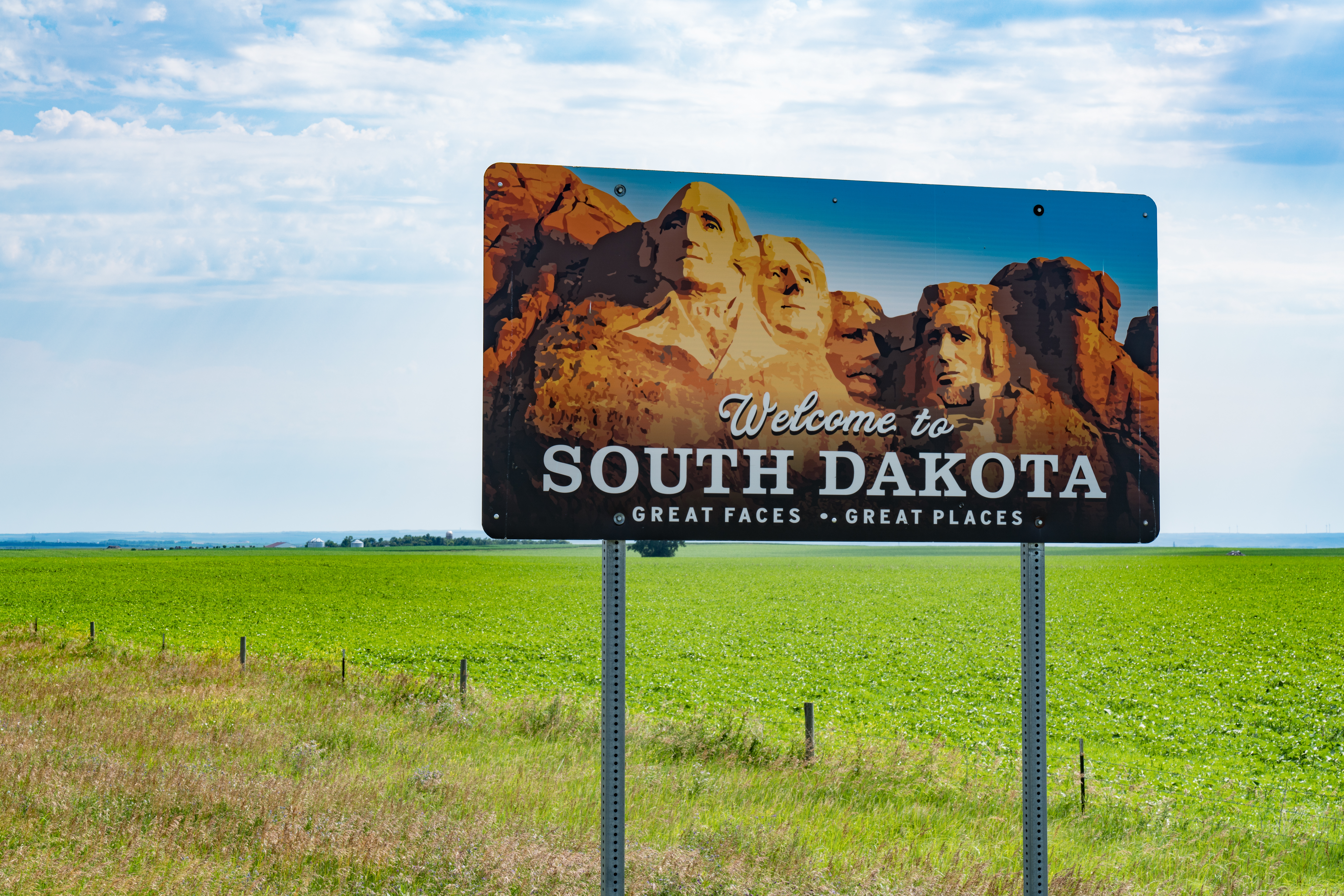 Small business owner completing a fast South Dakota annual report filing on a laptop.