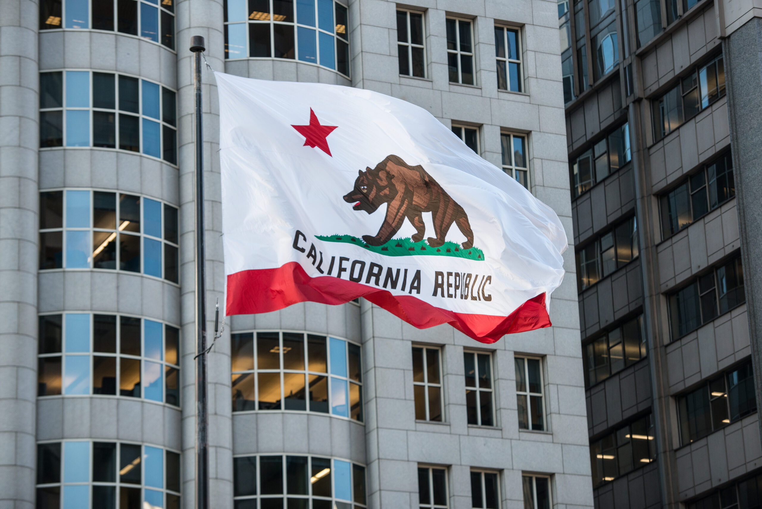 California change of agent filing for a small business owner using a laptop