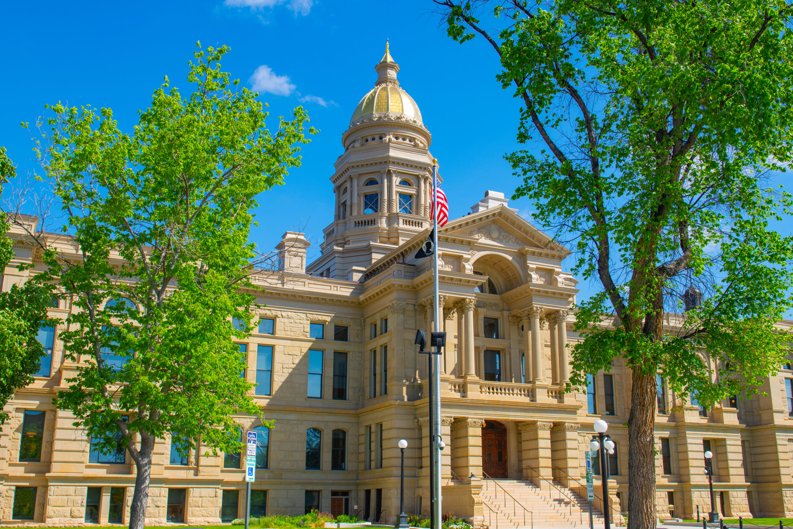 Wyoming business reinstatement for an administratively dissolved LLC or corporation